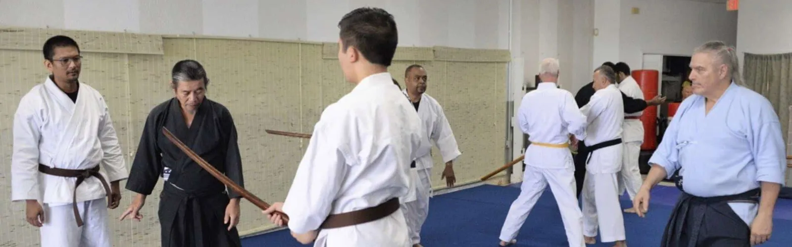 Mukushin Ryu Bujutsu Class Photo